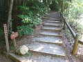 Helen to Unicoi 2010 0460